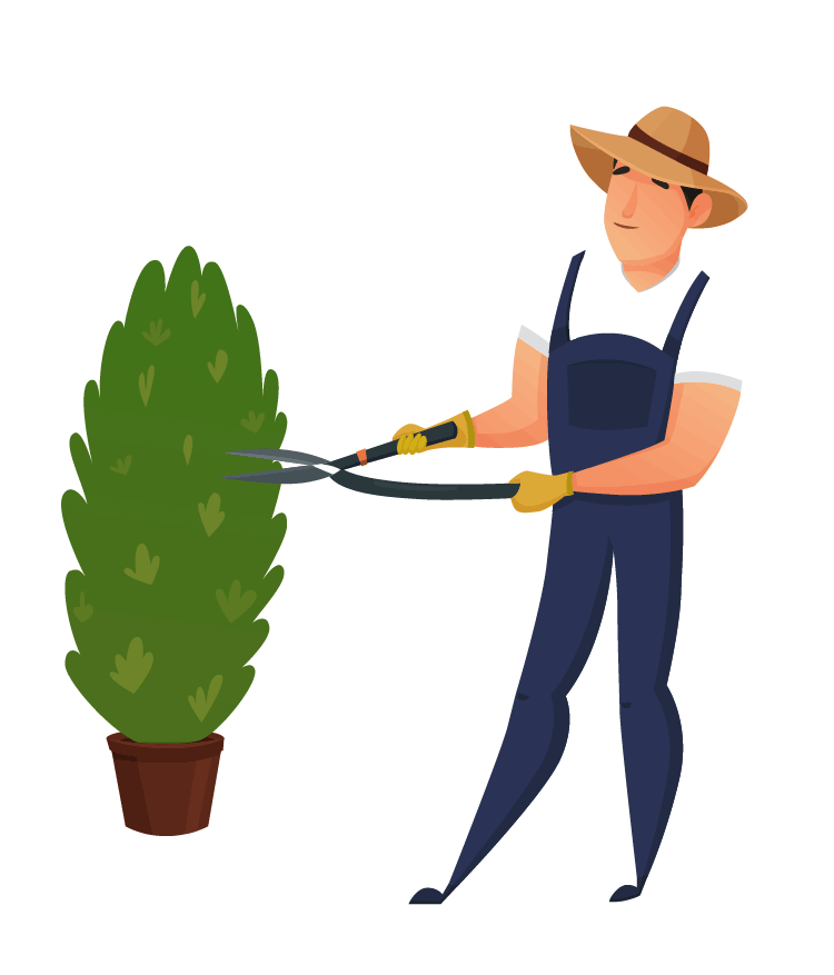 Entretien espaces verts à Toulouse Entreprise Nickel ! Nettoyage entretien bureaux vitrerie espaces verts remise en état résidences locaux entretien Toulouse Muret Seysses