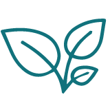 entreprise entretien nettoyage Toulouse Espaces verts Entreprise Nickel ! Entretien Toulouse Muret Seysses